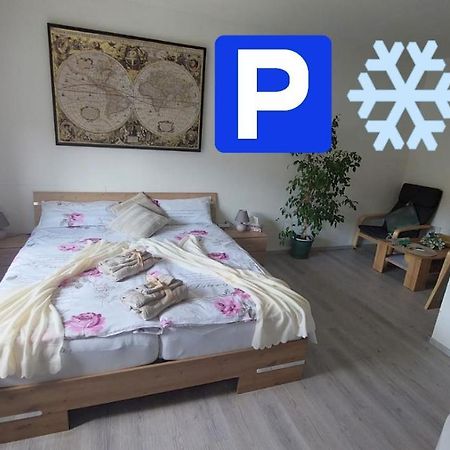 Pension Ringo, Airport Pit Stop, Bahnhof Und Flughafen In Der Naehe بادن بادن المظهر الخارجي الصورة